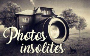 PhotoInsolite