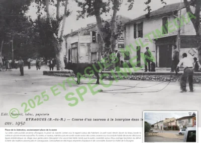 Panneaux60x80 50